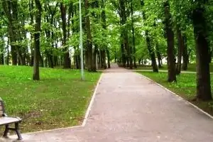 Alter jüdischer Friedhof